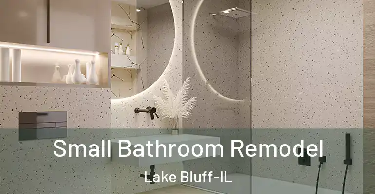 inner Bathroom imggen Small Bathroom Remodel Lake Bluff-IL