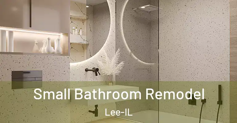 inner Bathroom imggen Small Bathroom Remodel Lee-IL