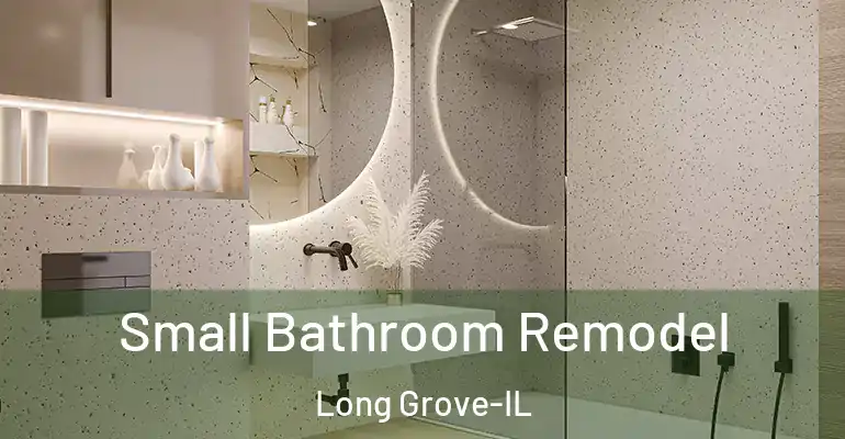 inner Bathroom imggen Small Bathroom Remodel Long Grove-IL