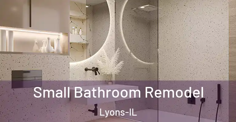 inner Bathroom imggen Small Bathroom Remodel Lyons-IL
