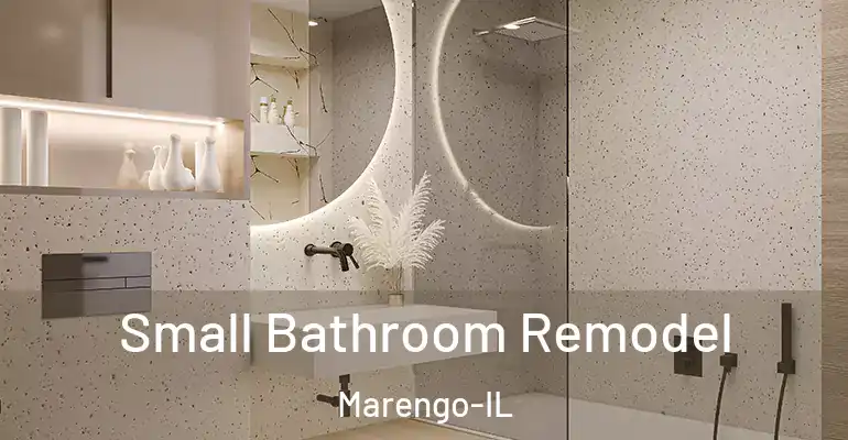 inner Bathroom imggen Small Bathroom Remodel Marengo-IL