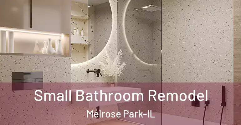 inner Bathroom imggen Small Bathroom Remodel Melrose Park-IL