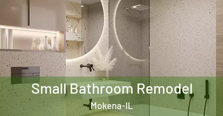 inner Bathroom imggen Small Bathroom Remodel Mokena-IL
