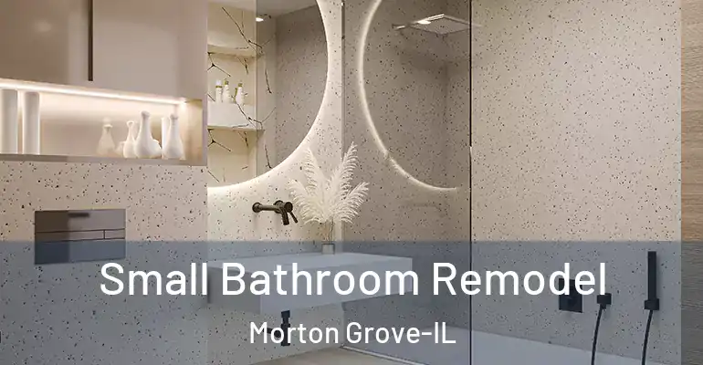 inner Bathroom imggen Small Bathroom Remodel Morton Grove-IL