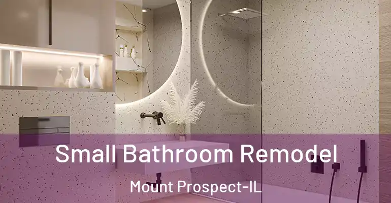 inner Bathroom imggen Small Bathroom Remodel Mount Prospect-IL