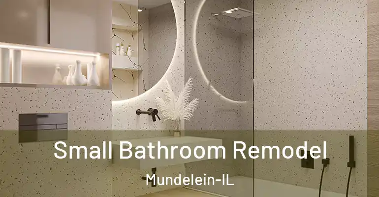 inner Bathroom imggen Small Bathroom Remodel Mundelein-IL