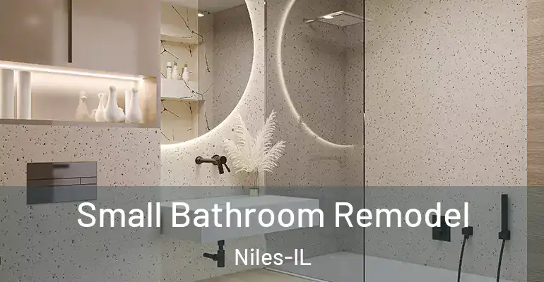 inner Bathroom imggen Small Bathroom Remodel Niles-IL