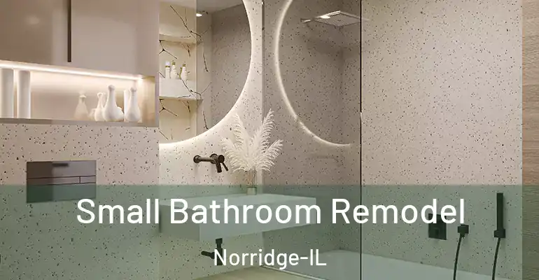 inner Bathroom imggen Small Bathroom Remodel Norridge-IL