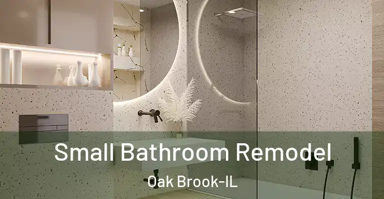 inner Bathroom imggen Small Bathroom Remodel Oak Brook-IL