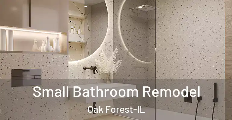 inner Bathroom imggen Small Bathroom Remodel Oak Forest-IL