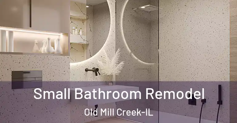 inner Bathroom imggen Small Bathroom Remodel Old Mill Creek-IL