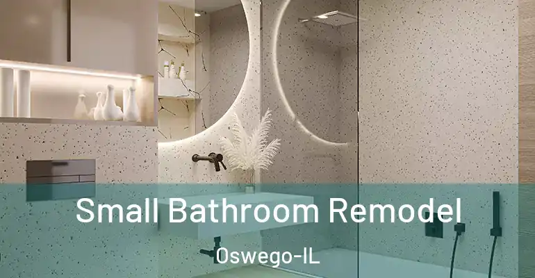 inner Bathroom imggen Small Bathroom Remodel Oswego-IL