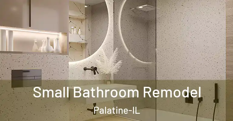 inner Bathroom imggen Small Bathroom Remodel Palatine-IL