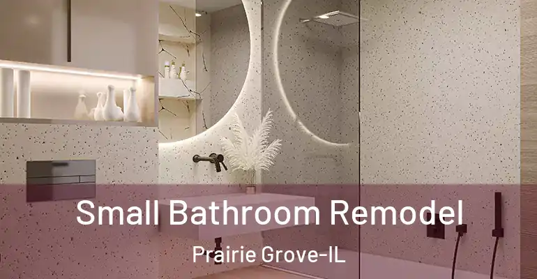 inner Bathroom imggen Small Bathroom Remodel Prairie Grove-IL
