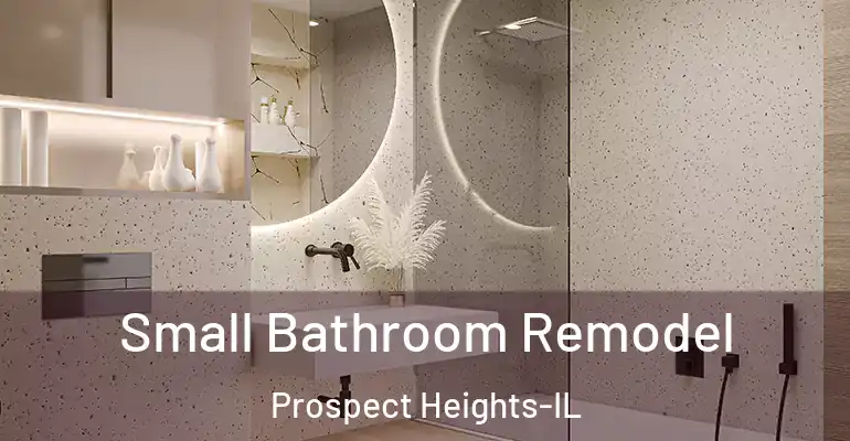 inner Bathroom imggen Small Bathroom Remodel Prospect Heights-IL