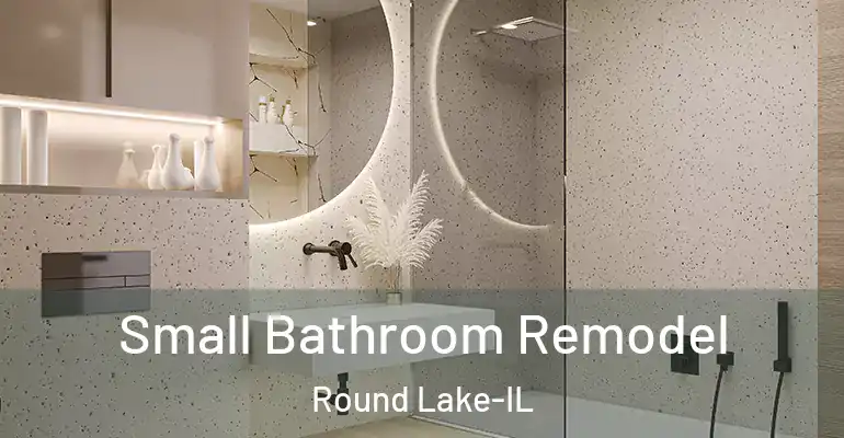 inner Bathroom imggen Small Bathroom Remodel Round Lake-IL