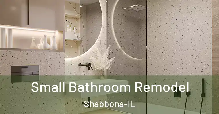 inner Bathroom imggen Small Bathroom Remodel Shabbona-IL