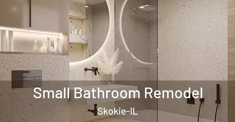 inner Bathroom imggen Small Bathroom Remodel Skokie-IL