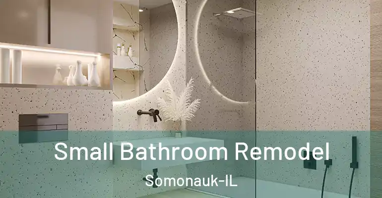 inner Bathroom imggen Small Bathroom Remodel Somonauk-IL