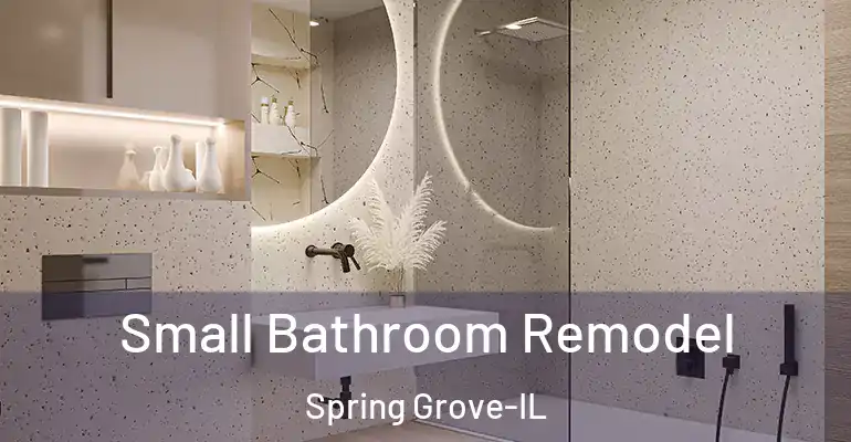 inner Bathroom imggen Small Bathroom Remodel Spring Grove-IL