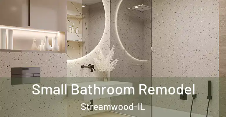 inner Bathroom imggen Small Bathroom Remodel Streamwood-IL