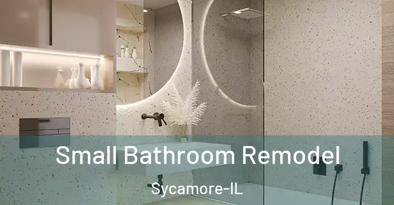 inner Bathroom imggen Small Bathroom Remodel Sycamore-IL