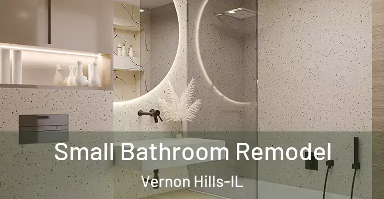 inner Bathroom imggen Small Bathroom Remodel Vernon Hills-IL