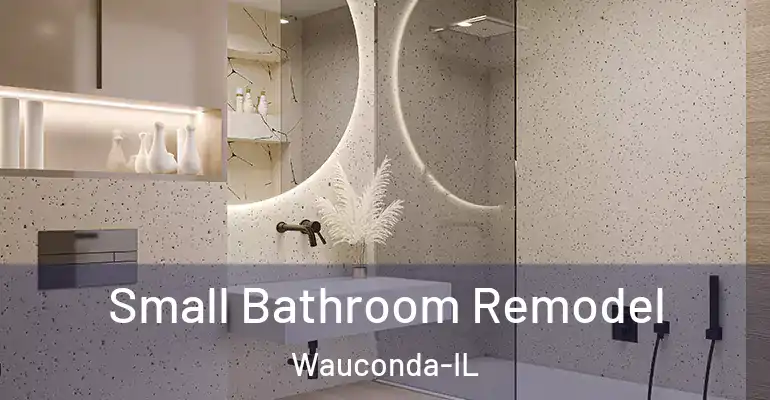 inner Bathroom imggen Small Bathroom Remodel Wauconda-IL