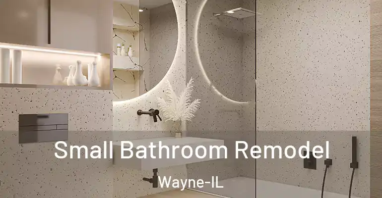 inner Bathroom imggen Small Bathroom Remodel Wayne-IL