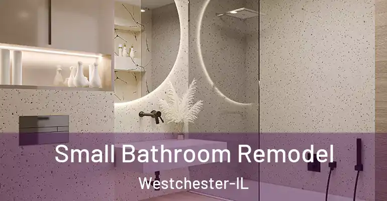 inner Bathroom imggen Small Bathroom Remodel Westchester-IL