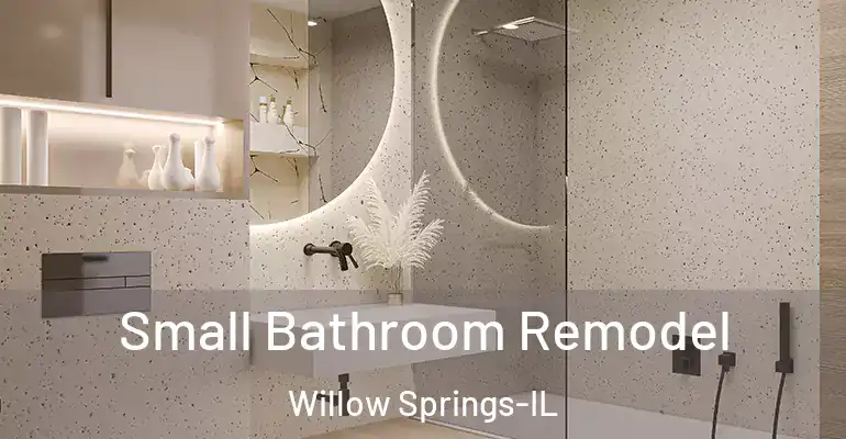 inner Bathroom imggen Small Bathroom Remodel Willow Springs-IL