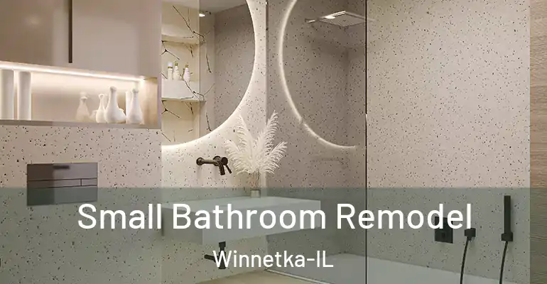 inner Bathroom imggen Small Bathroom Remodel Winnetka-IL