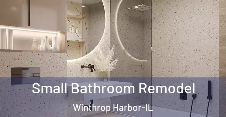 inner Bathroom imggen Small Bathroom Remodel Winthrop Harbor-IL