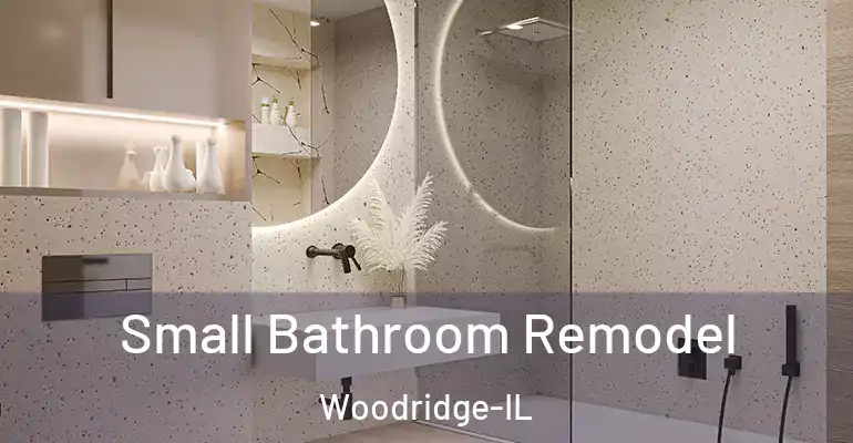 inner Bathroom imggen Small Bathroom Remodel Woodridge-IL