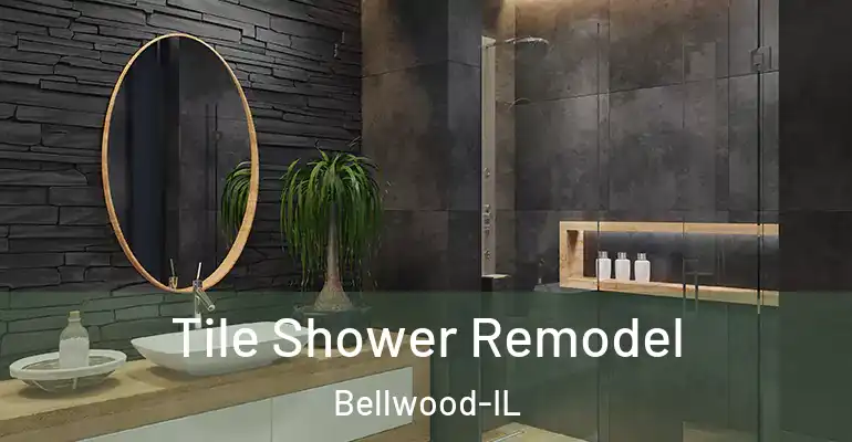 inner Bathroom imggen Tile Shower Remodel Bellwood-IL