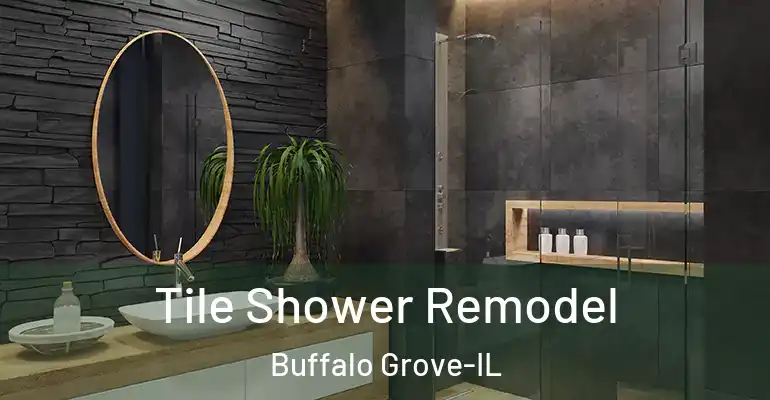 inner Bathroom imggen Tile Shower Remodel Buffalo Grove-IL
