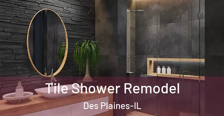 inner Bathroom imggen Tile Shower Remodel Des Plaines-IL