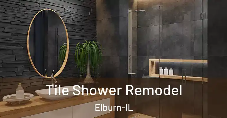 inner Bathroom imggen Tile Shower Remodel Elburn-IL
