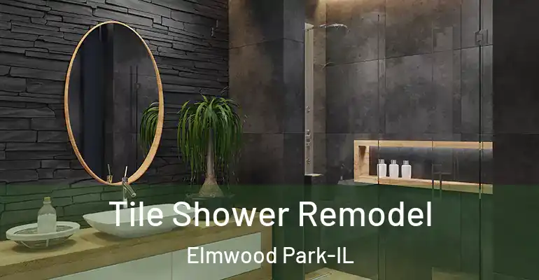 inner Bathroom imggen Tile Shower Remodel Elmwood Park-IL