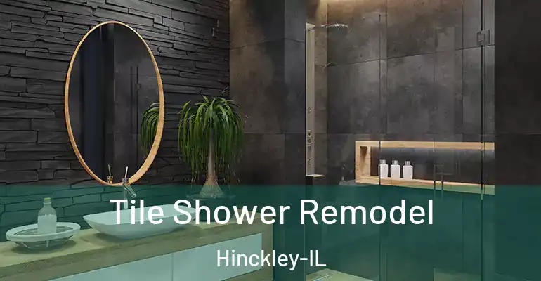 inner Bathroom imggen Tile Shower Remodel Hinckley-IL