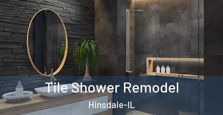 inner Bathroom imggen Tile Shower Remodel Hinsdale-IL