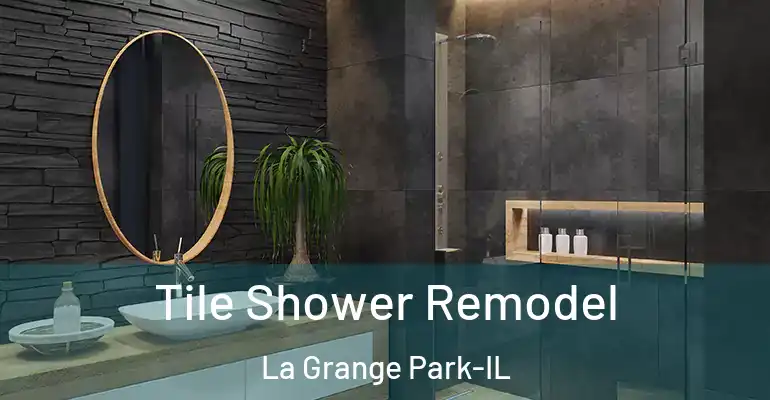 inner Bathroom imggen Tile Shower Remodel La Grange Park-IL