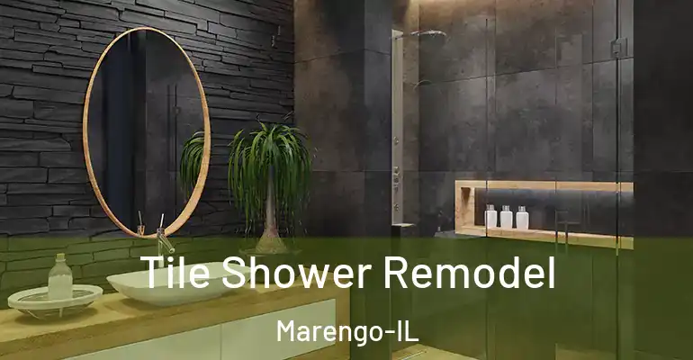 inner Bathroom imggen Tile Shower Remodel Marengo-IL