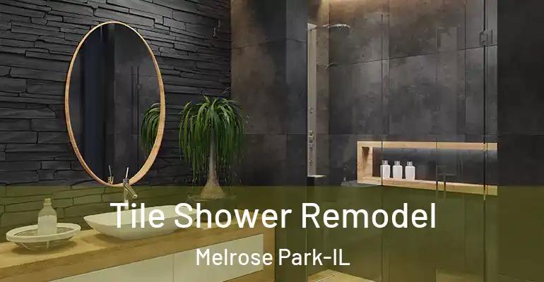 inner Bathroom imggen Tile Shower Remodel Melrose Park-IL