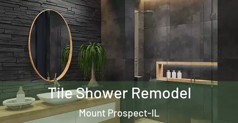 inner Bathroom imggen Tile Shower Remodel Mount Prospect-IL