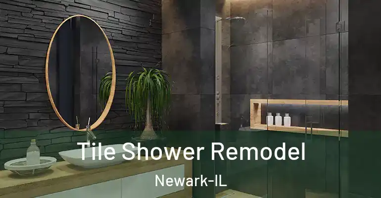 inner Bathroom imggen Tile Shower Remodel Newark-IL