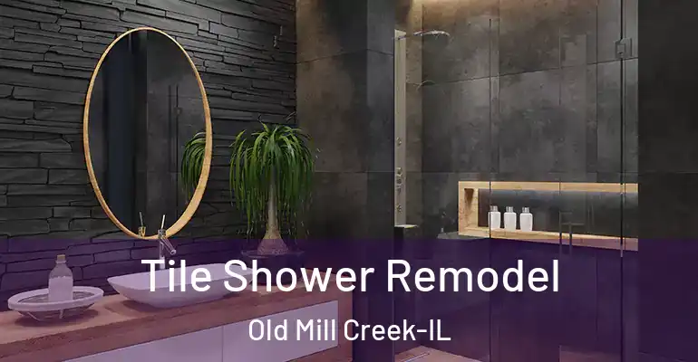 inner Bathroom imggen Tile Shower Remodel Old Mill Creek-IL