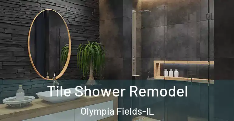 inner Bathroom imggen Tile Shower Remodel Olympia Fields-IL