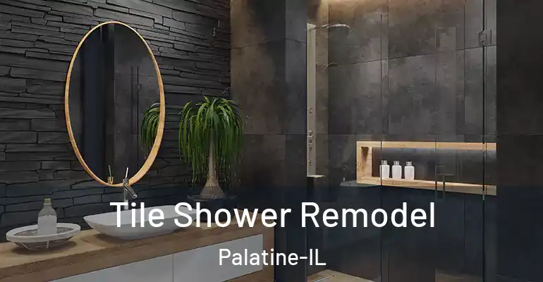 inner Bathroom imggen Tile Shower Remodel Palatine-IL