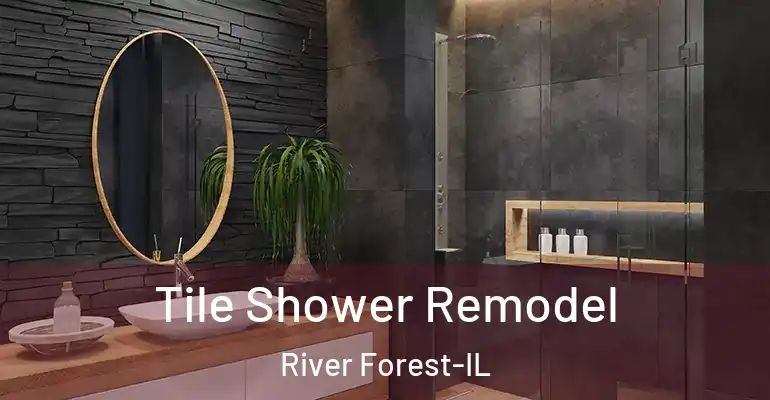 inner Bathroom imggen Tile Shower Remodel River Forest-IL
